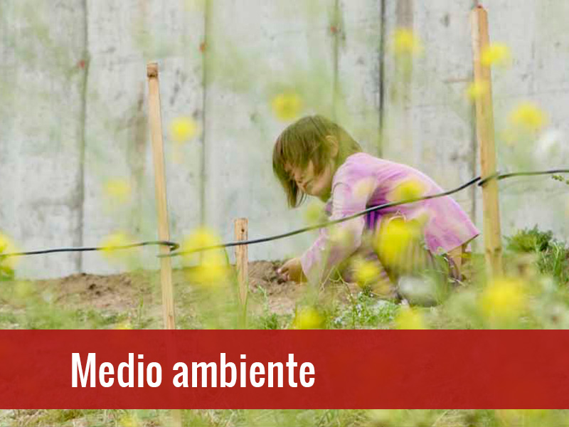 Medio Ambiente