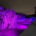 “Adopta un pájaro”: jornada en defensa de las aves en Madrid Río y contra las luces en el Manzanares